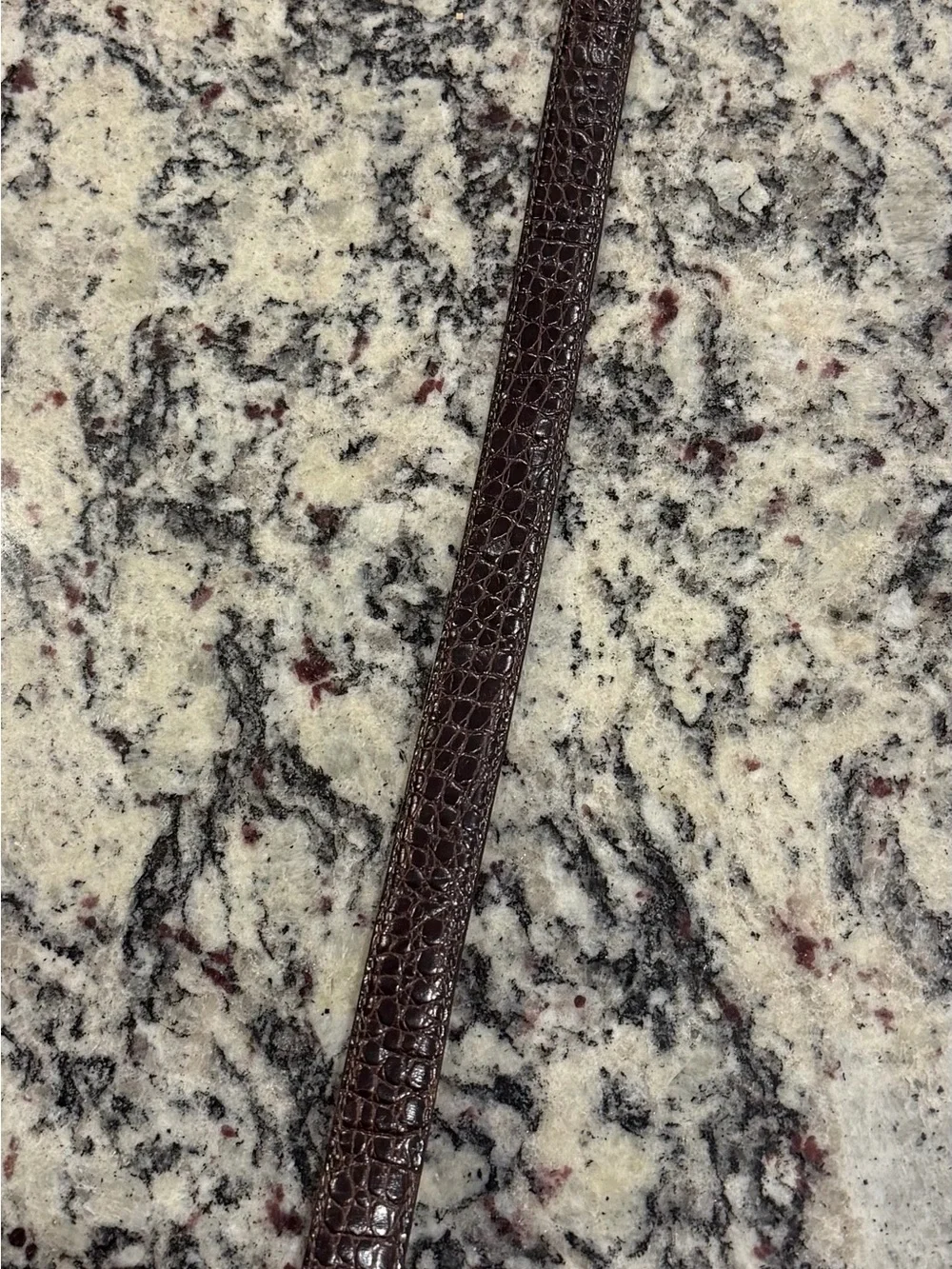 Brighton Brown Croc-Embossed Kids Belt with Silver & Gold Rope Buckle